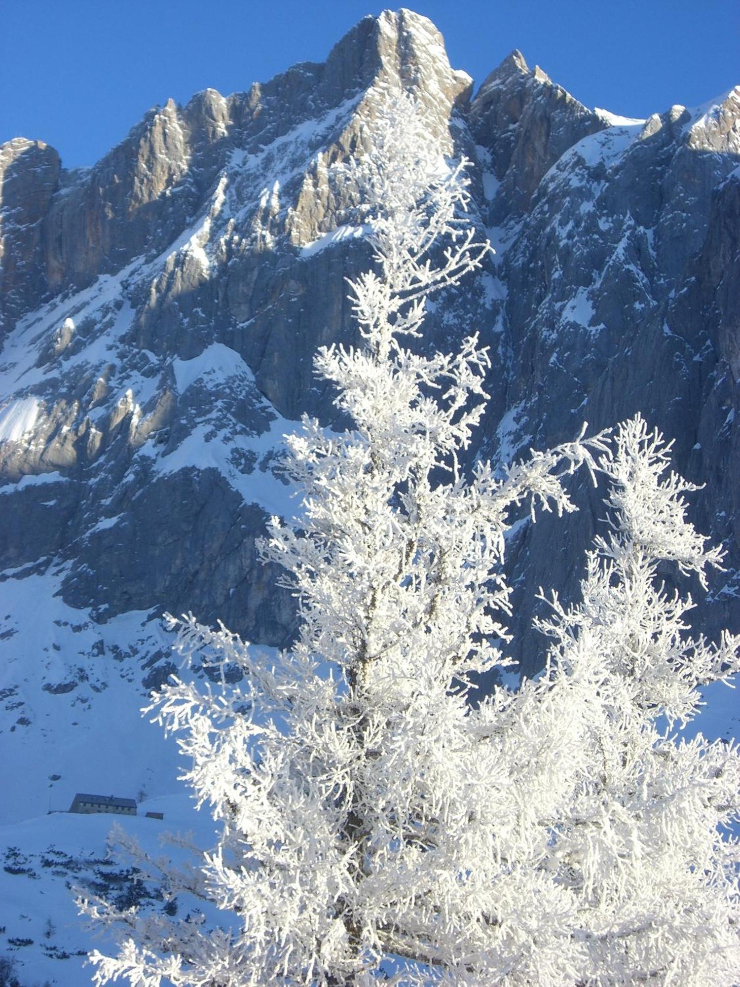 Gasthof Hunerkogel Hotel Ramsau am Dachstein Eksteriør billede