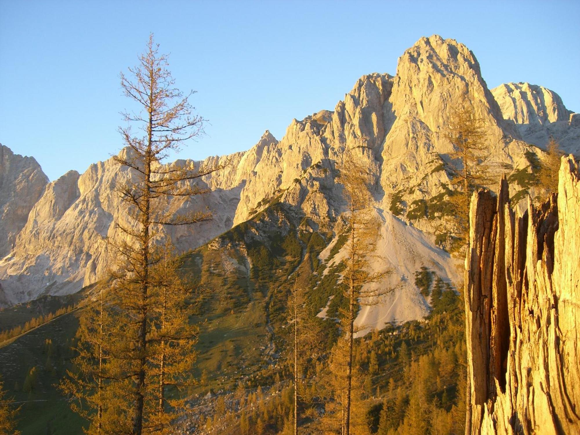 Gasthof Hunerkogel Hotel Ramsau am Dachstein Eksteriør billede