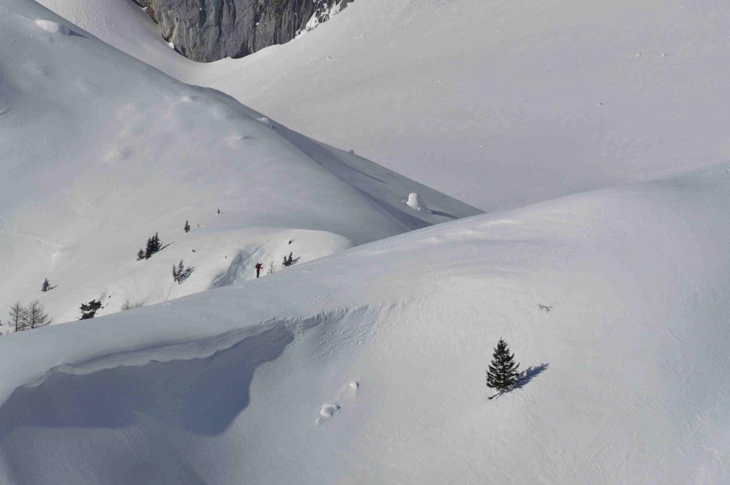 Gasthof Hunerkogel Hotel Ramsau am Dachstein Eksteriør billede