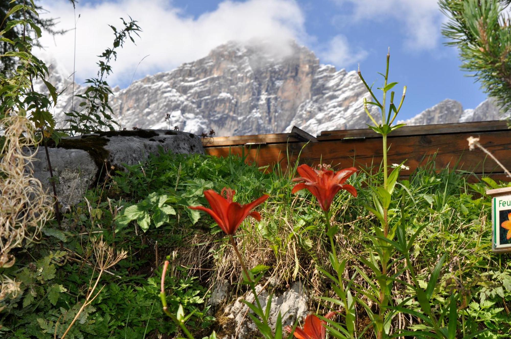 Gasthof Hunerkogel Hotel Ramsau am Dachstein Eksteriør billede